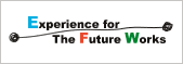 Experience for The Future Works