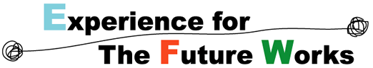 Experience for the Future Works